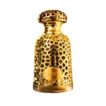 Lattafa Emeer EDP 100ml unissex